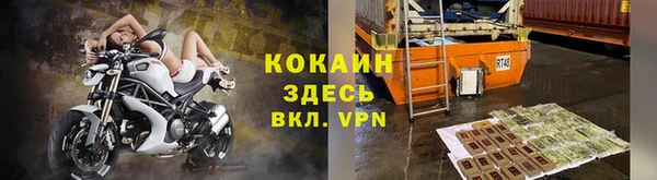 прущие грибы Вязьма