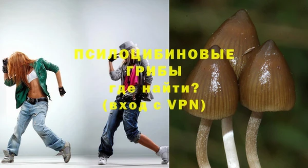 тгк Вяземский