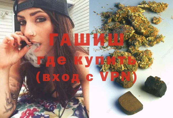 прущие грибы Вязьма