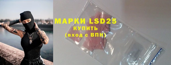 тгк Вяземский