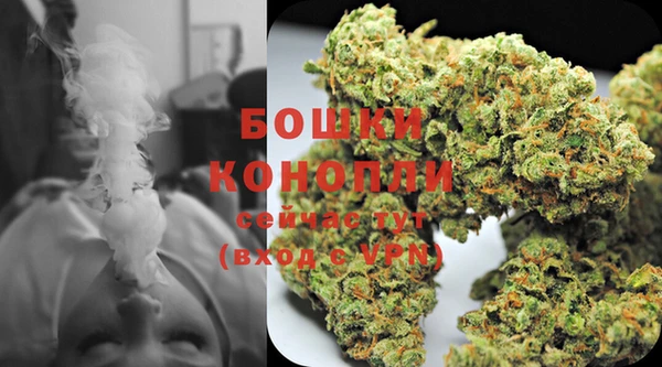 прущие грибы Вязьма