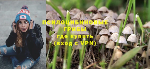 прущие грибы Вязьма