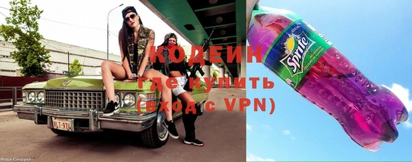 прущие грибы Вязьма